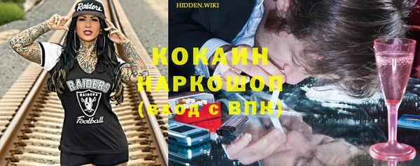 apvp Каменка