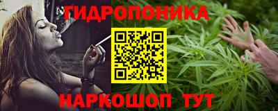 винт Гай