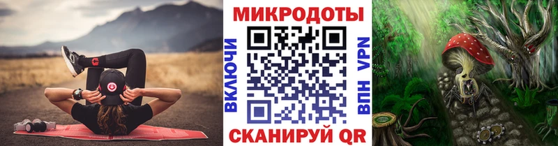 Псилоцибиновые грибы Psilocybine cubensis  Кыштым 