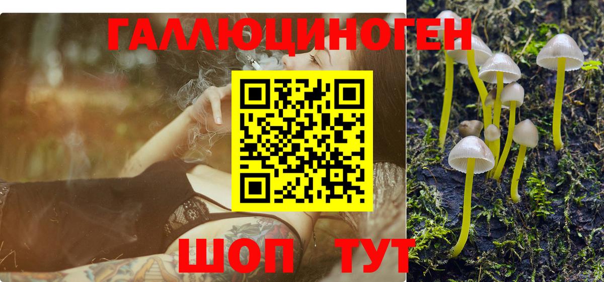 наркошоп  Галлюциногенные грибы прущие грибы  Кыштым  Вход с VPN  Галлюциногенные грибы мухоморы 